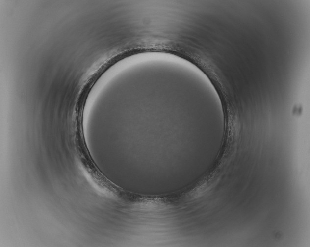 X0000114030674200910231900