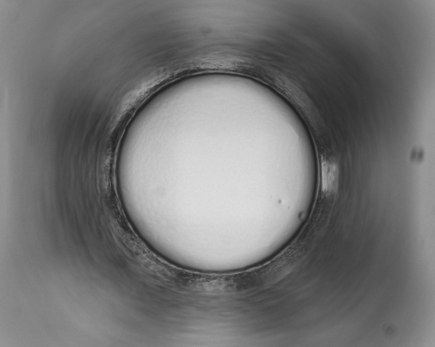 X0000114030675200910231900