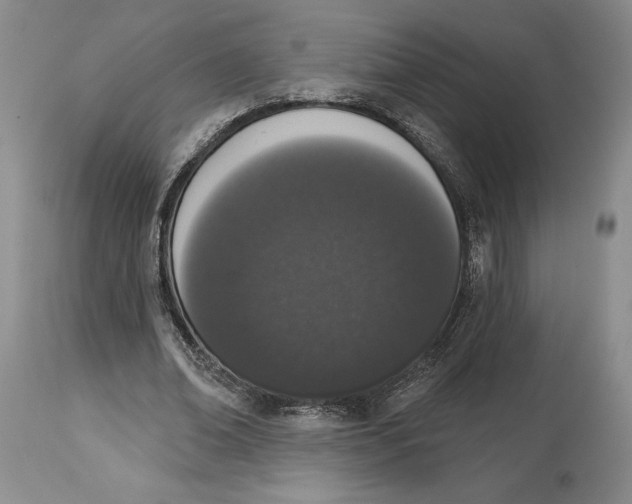 X0000114030678200910231900