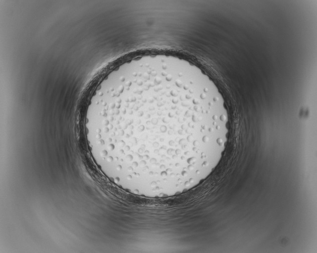 X0000114030680200910231900