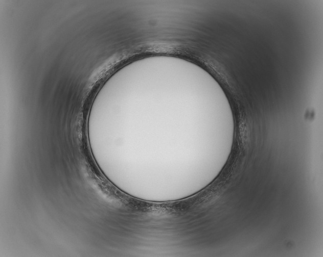 X0000114030682200910231900