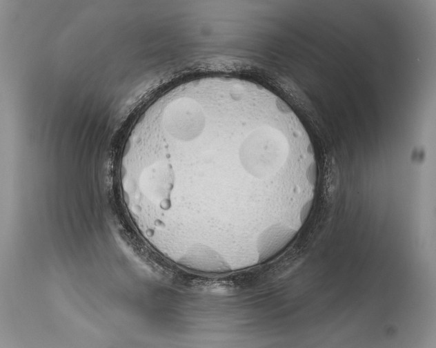 X0000114030683200910231900