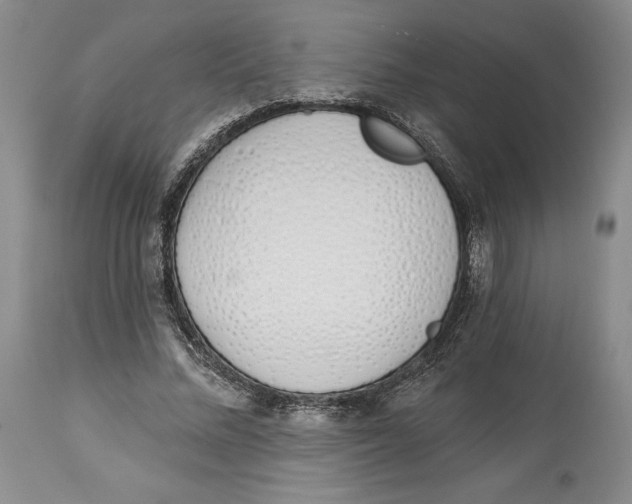 X0000114030684200910231900