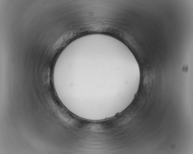 X0000114030685200910231859