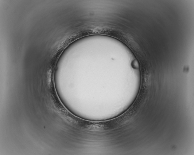 X0000114030691200910231859