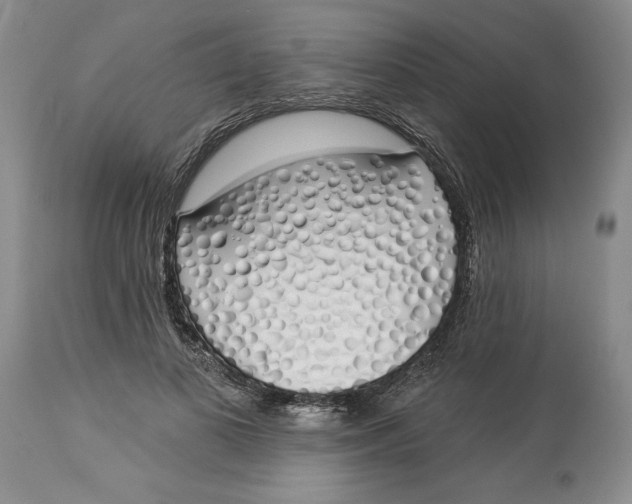 X0000114030693200910231859