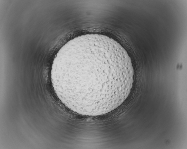 X0000114030697200910231859