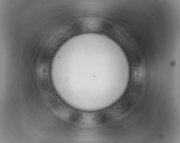 X0000114030701200910231859