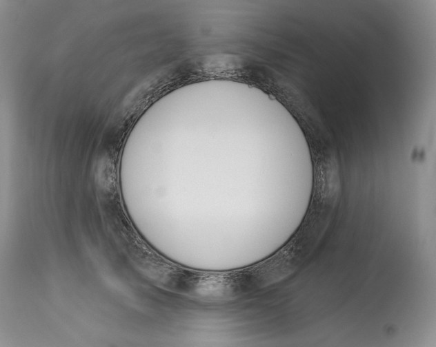 X0000114030705200910231859