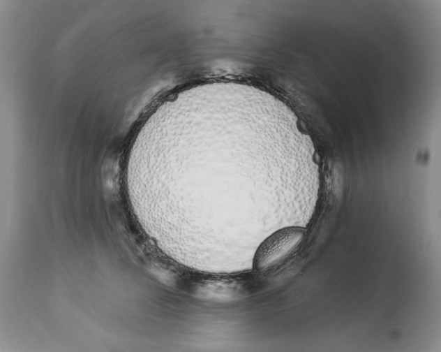 X0000114030708200910231859