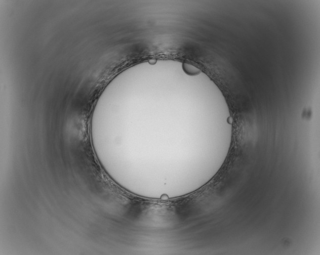 X0000114030709200910231859