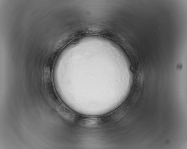 X0000114030711200910231859