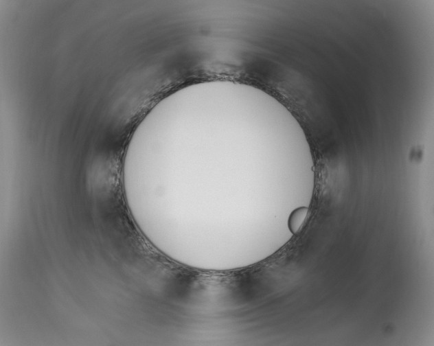 X0000114030713200910231859