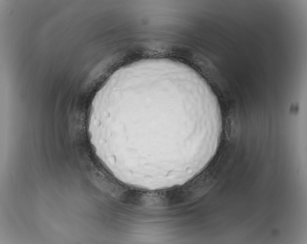 X0000114030714200910231859