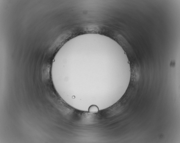 X0000114030717200910231859