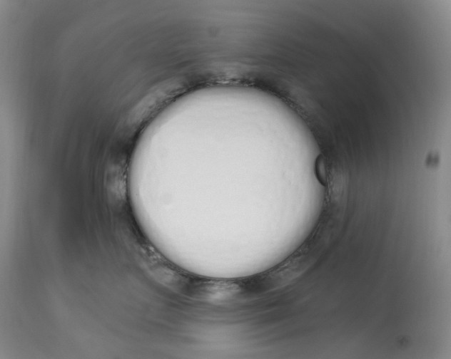 X0000114030719200910231859