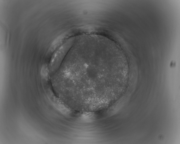 X0000114030720200910231859