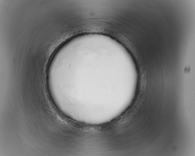 X0000114030721200910231858