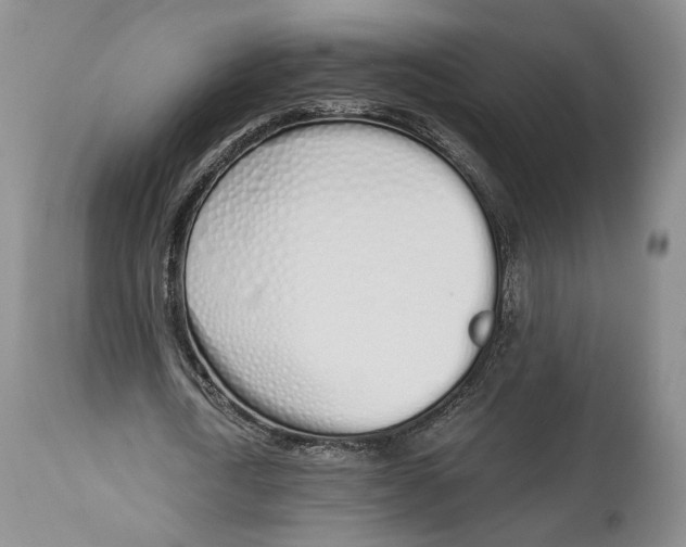 X0000114030722200910231858