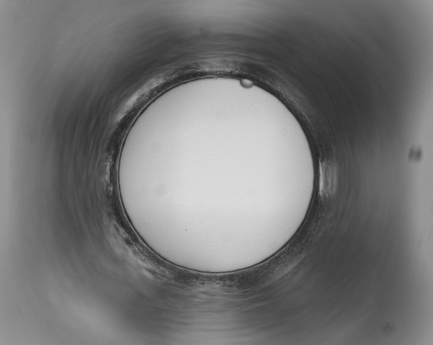 X0000114030723200910231858