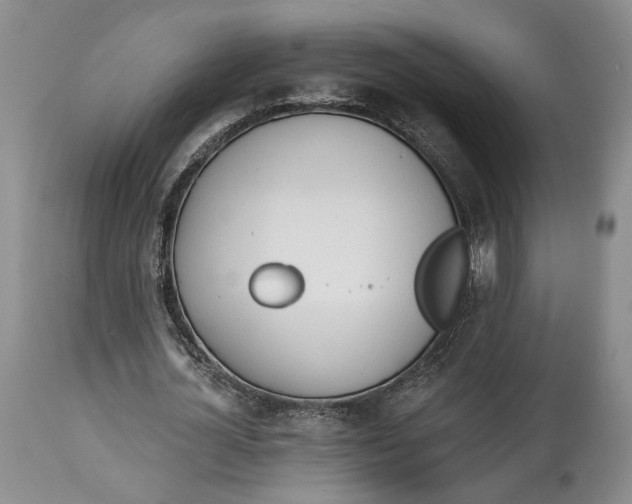 X0000114030724200910231858