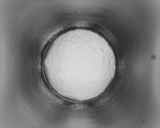 X0000114030727200910231858