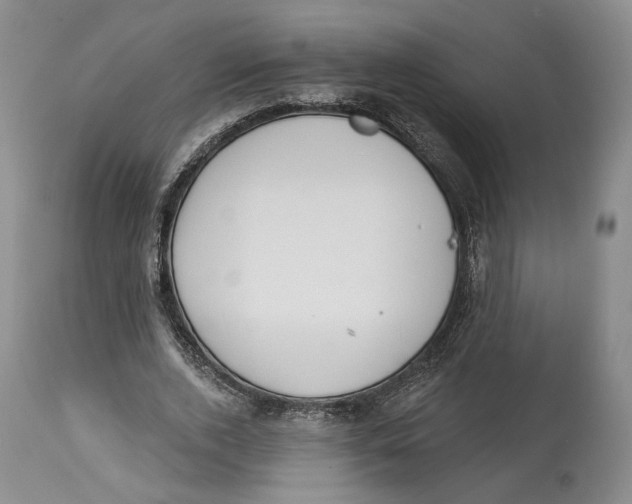 X0000114030728200910231858