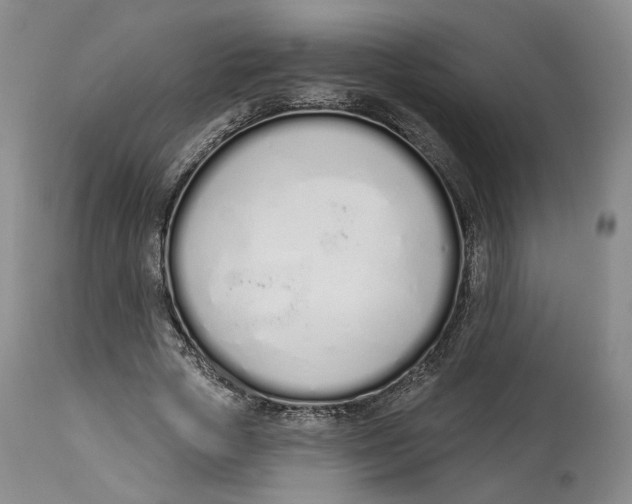 X0000114030729200910231858