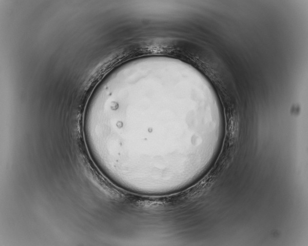 X0000114030733200910231858