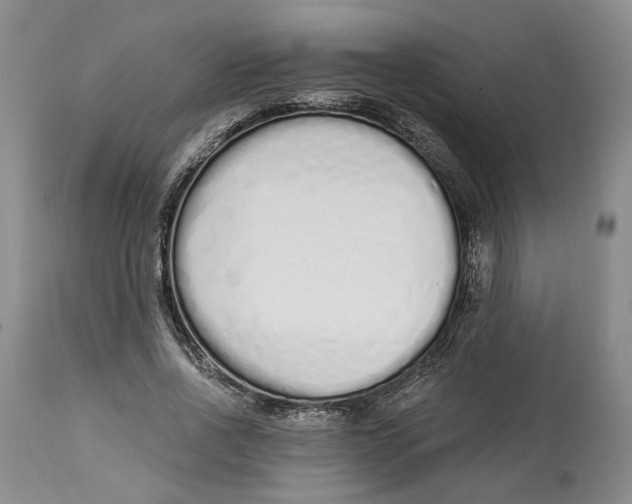 X0000114030734200910231858