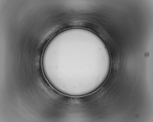 X0000114030735200910231858