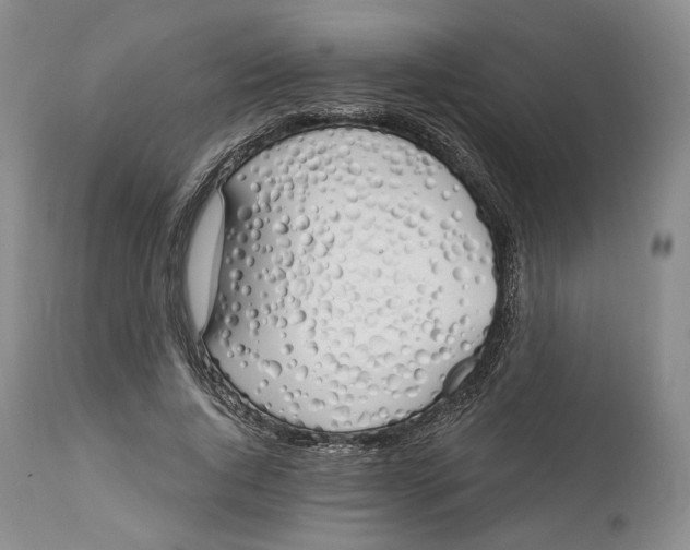 X0000114030736200910231858