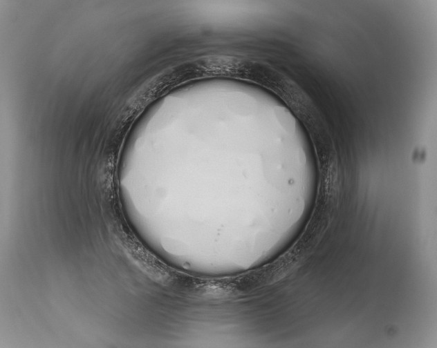 X0000114030737200910231858