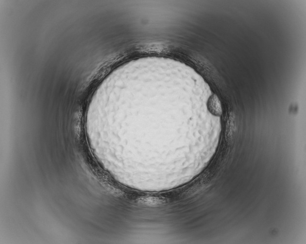 X0000114030739200910231858