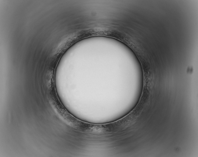 X0000114030742200910231858