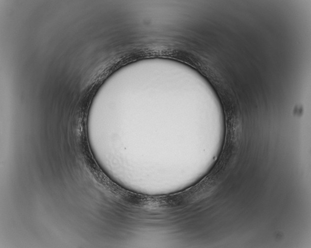 X0000114030746200910231859