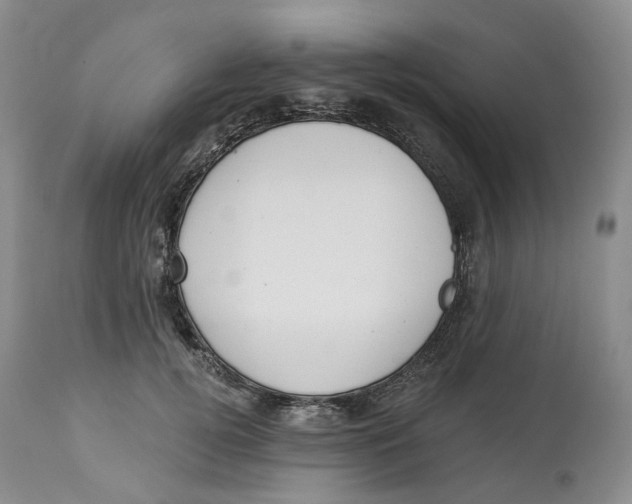 X0000114030752200910231859