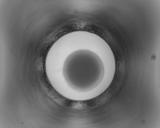 X0000114030754200910231859