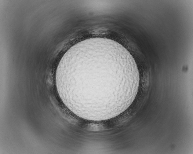 X0000114030755200910231859