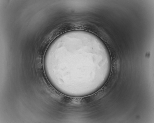 X0000114030757200910231859