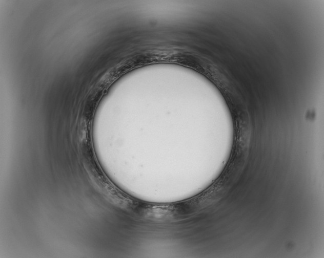 X0000114030758200910231859