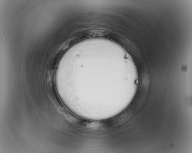 X0000114030759200910231859