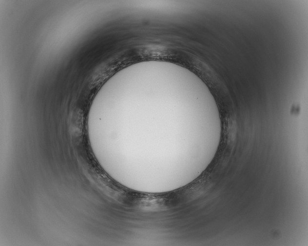 X0000114030760200910231859