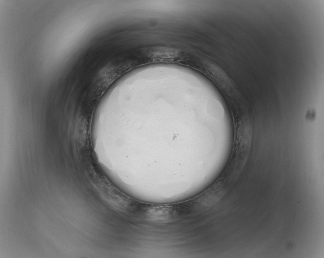 X0000114030761200910231859