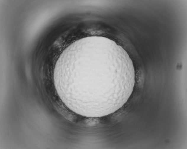 X0000114030762200910231859