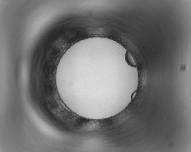 X0000114030764200910231859