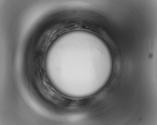 X0000114030765200910231859