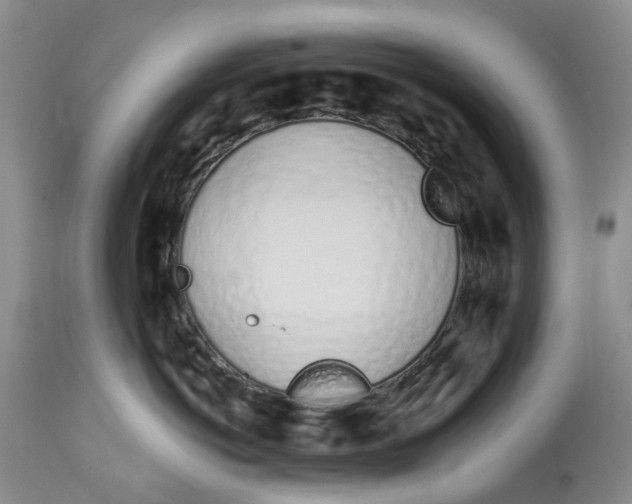 X0000114030766200910231859