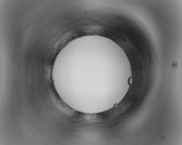 X0000114030767200910231859