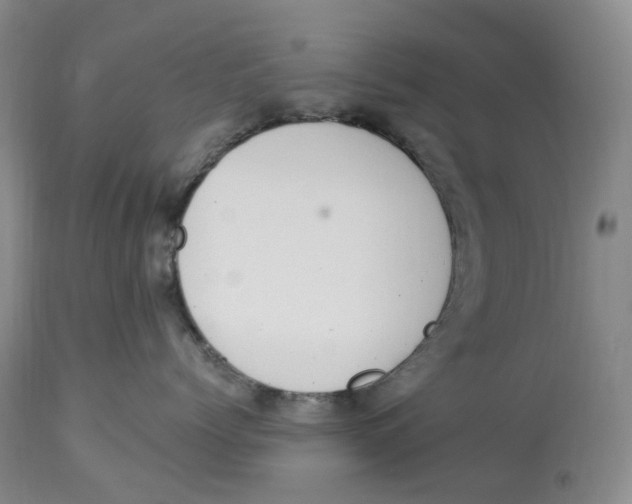 X0000114030768200910231859